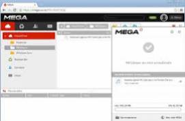 MEGASync 2.8